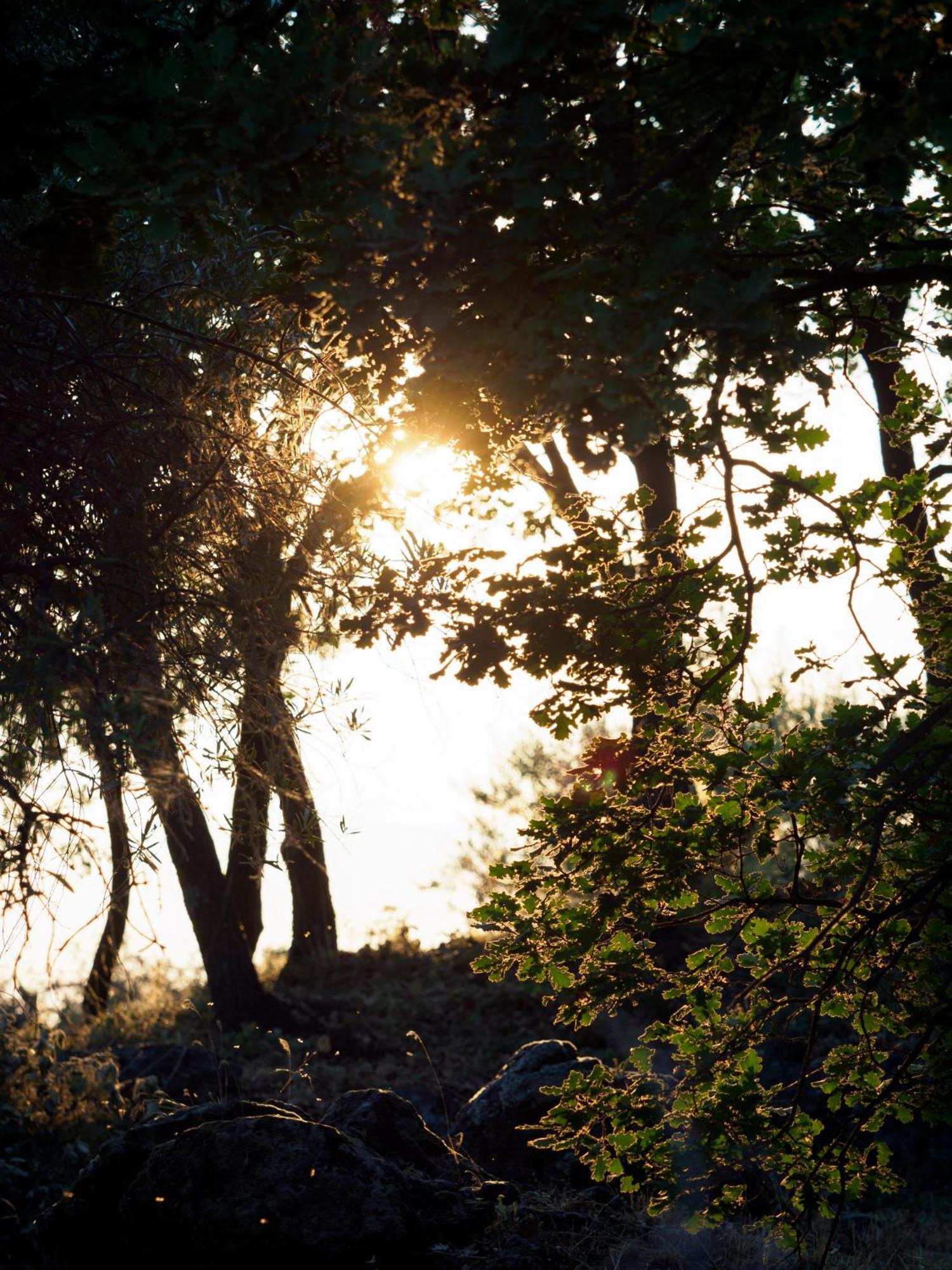 Podere Dell'Etna Segreta - Essential Nature Hotel & Glamping ビアンカヴィッラ エクステリア 写真