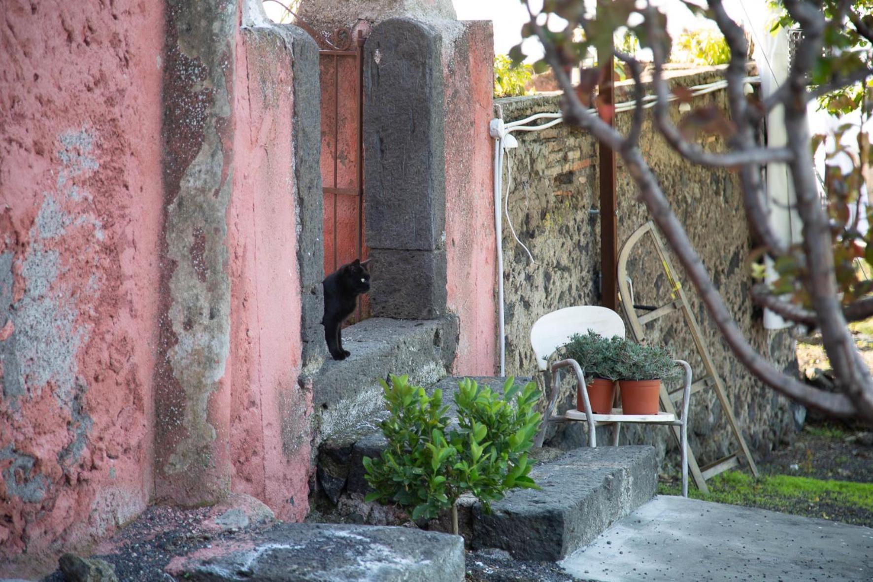 Podere Dell'Etna Segreta - Essential Nature Hotel & Glamping ビアンカヴィッラ エクステリア 写真